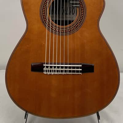 Montalvo 10 String Classical Guitar 2023 - Nitro Gloss image 1