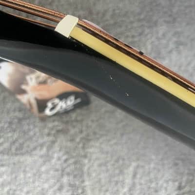 Eko 4 String Acoustic Electric Bass, Mahogany Body, Rosewood Fretboard Neck, 22 Frets image 2