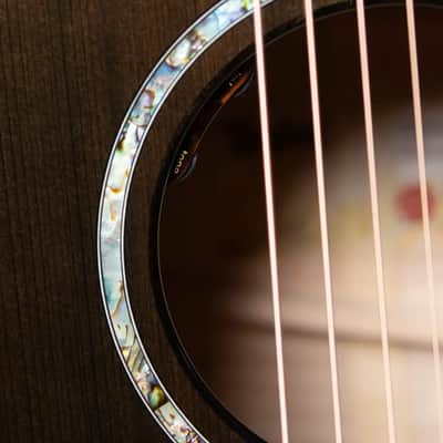 Taylor Custom Shop Grand Auditorium Acoustic/Electric - Maple/Sinker Cypress with Hardshell Case image 16