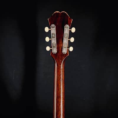 Epiphone 1965 444T hollowbody with pickup image 5