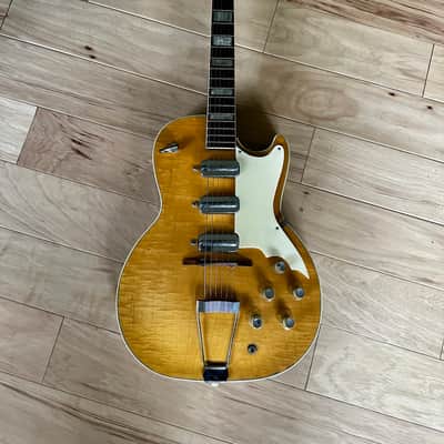 Celebrity Owned - Peter Green Personal Collection 1962 Silvertone Speed Demon in OHC and Provenance Paperwork image 2