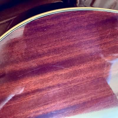 Alvarez DY 58 9 string Yairi Acoustic/Electric 1979 - Natural Wood image 15