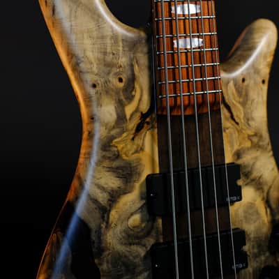 Spector (USA) NS-5 Neck-Thru 2024 - Buckeye Burl image 3