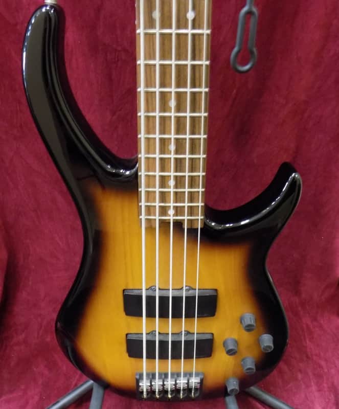 Peavey GV G5 USA 5 String Graphite Modulus Neck image 1