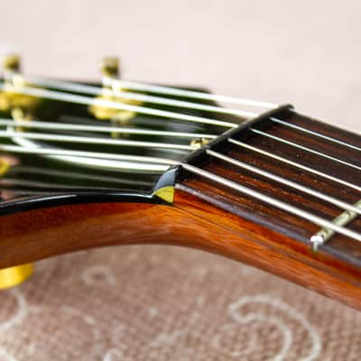 Hamer Artist GATASO 1996 Amber w/Video Demo image 15