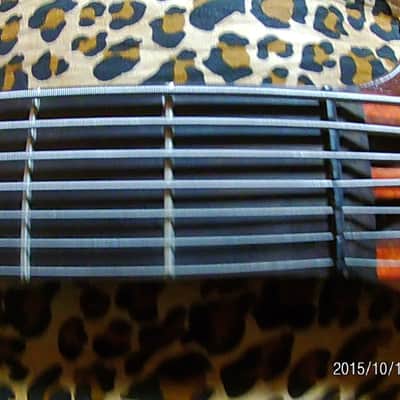 Conklin Sidewinder Custom   7 seven string Bass 36 frets! image 20