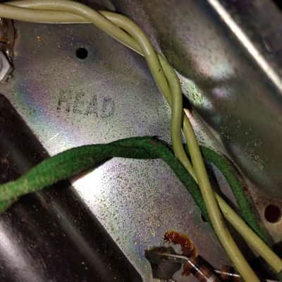 1973 Fender Dual Showman Reverb image 19
