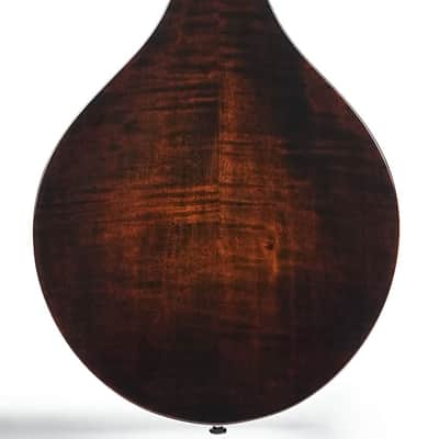 Eastman MD505 Black Top Limited A Style Mandolin image 4