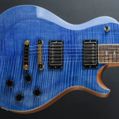 Paul Reed Smith SE McCarty 594 Singlecut '22 image 1