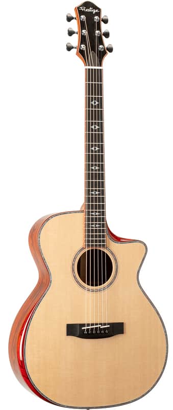 Prestige Master Class Cocobolo w/Case image 1