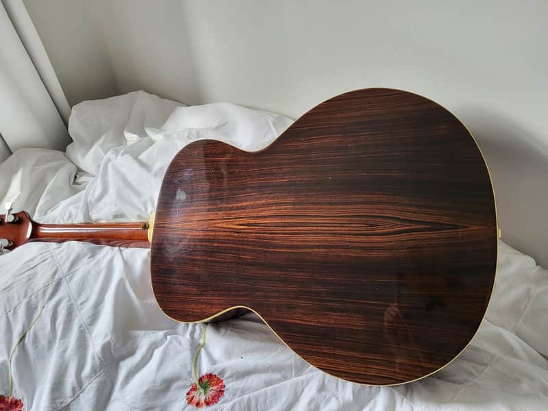 Aria FE60 Elecord 1980s Natural MIJ | Reverb