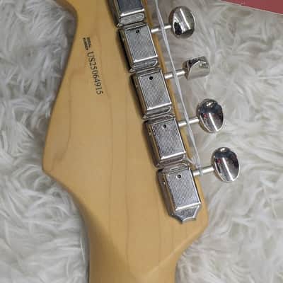 Fender American Professional Classic Stratocaster, Faded Black Finish w/Gig Bag image 6