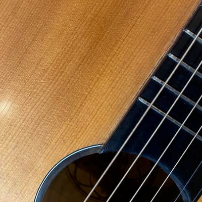 Framus Model 5/1 1956 - Natural image 11