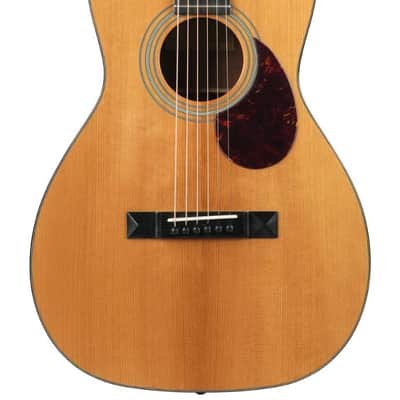 Eastman E10P Thermo Cured 12 Fret Natural image 1