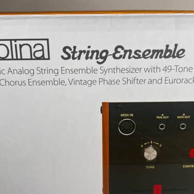 Behringer Solina String Ensemble Analog Synthesizer Module image 2