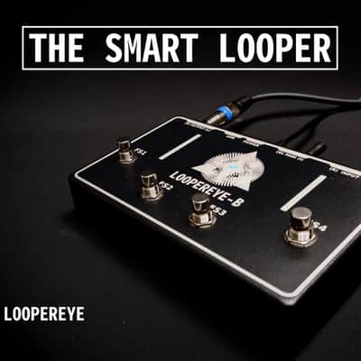 LOOPEREYE-B, The Smart Looper image 1