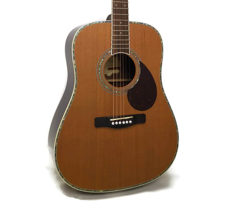 Samick Greg Bennett Design D8 Continental Series Dreadnought