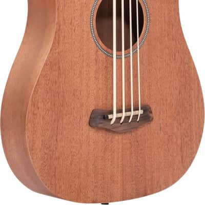 Gold Tone M-Bass25FL Fretless Short-Scale 4-String Acoustic-Electric Bass Guitar, Mahogany Top image 2
