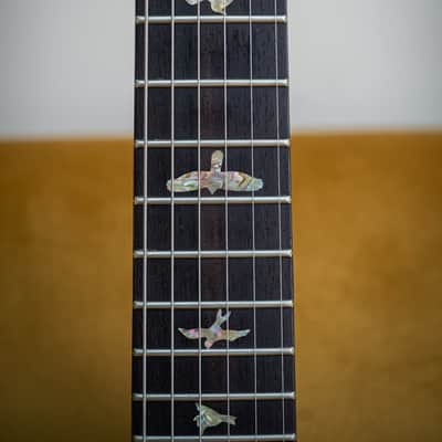 2006 PRS McCarty 10 Top (DEMO VIDEO) image 10