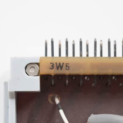 WSW BV 01584 image 6