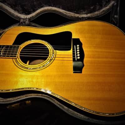 Guild Vintage Rare Ess and Ess Acoustic Guitar Case 1960s Faux Alligator image 12