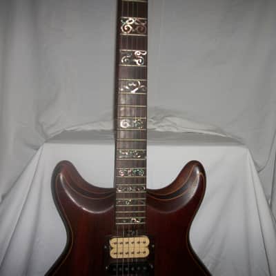 The Joker.THE Guitar! image 5