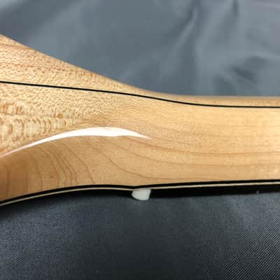 Dawson 6 String Banjitar Ganjo 12” Custom Handmade Banjo imagen 11