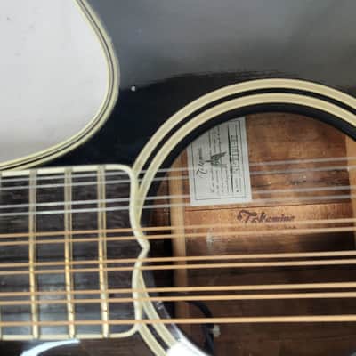 Takamine NPT-110-12 12 String Guitar | Reverb