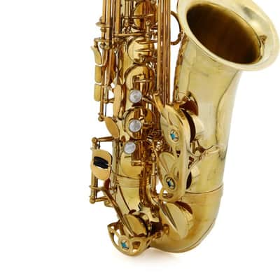 Yanagisawa A-WO1 Professional Alto Saxophone - Unlacquered image 1