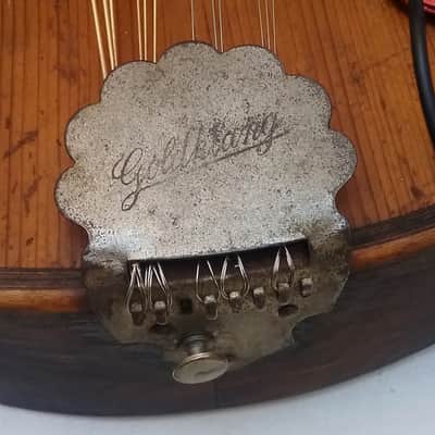 GOLDKLANG (Ger) 12 string electric concert mandolin - 30s / 50s + Hardcase image 10