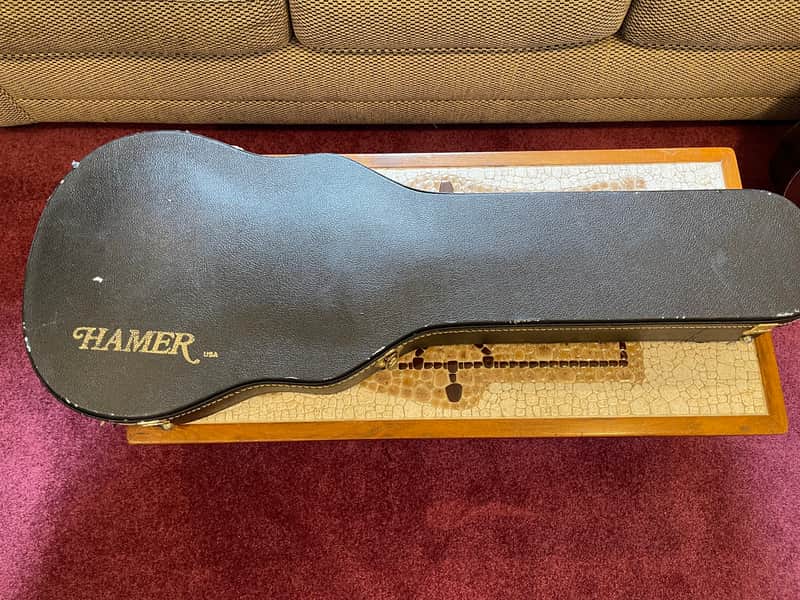 Hamer Guitar Case Newport, Special, Artist 2002 - Black image 1