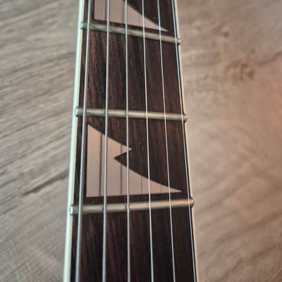 Ibanez RG2570EX Vital Silver Prestige 2004 - Vital Silver Bild 15