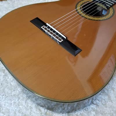 Takamine No.6 in 1988 image 7