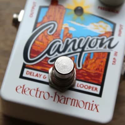 Electro-Harmonix Canyon image 3