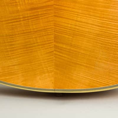 D'Angelico Excel Cutaway Arch Top Acoustic Guitar (1960), ser. #2117, original brown hard shell case. image 20
