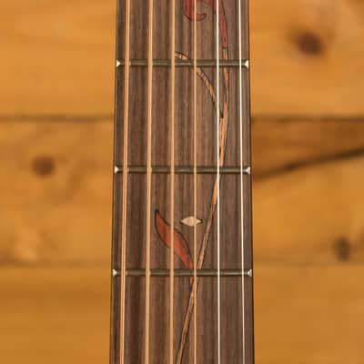 Ibanez AE275BT AE Series Baritone Electro-Acoustic - Pau Ferro - Natural Low Gloss image 6