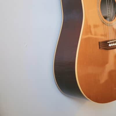 Seagull Godin 20th Anniversary Dreadnought Acoustic Guitar w/ Chainsaw Foam Fort Case image 7
