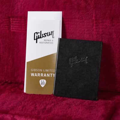 Gibson Firebird Lyre Tail Limited, Vintage Sunburst | Modified image 9