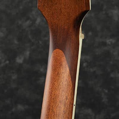 Ibanez PNB14E 4-String Acoustic Electric Parlor Bass - Open Pore Natural image 4