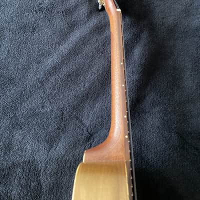 Immagine David Iriguchi Tenor Pineapple Ukulele with Case - 9