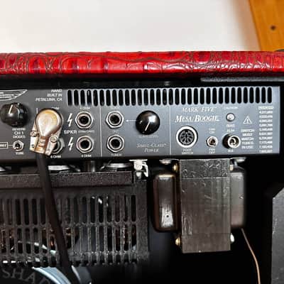 Mesa Boogie Mark V 2021 - special edition image 9