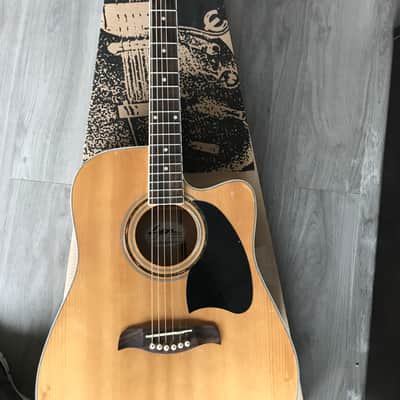 Washburn Lyon Acoustic/Electric Guitar image 1