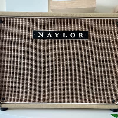 Naylor Electra-Verb 60 PROTOTYPE Early 90’s image 1