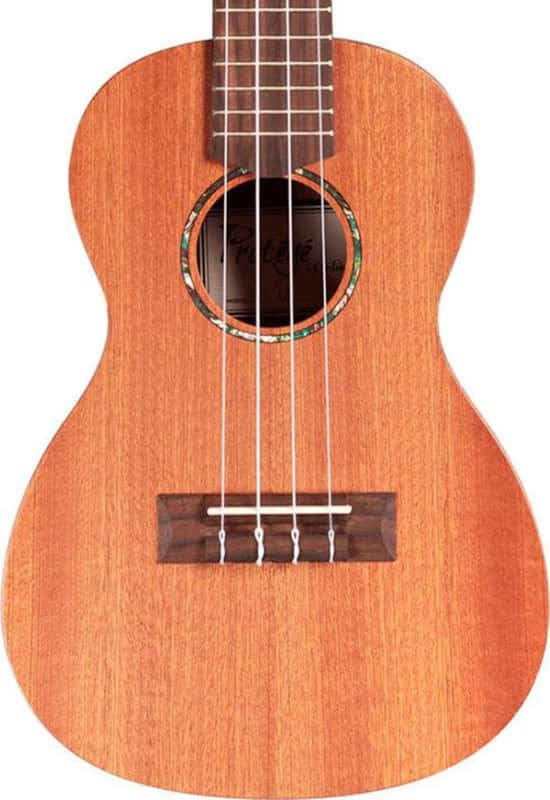 Cordoba U1B Mahogany Baritone Ukulele image 1