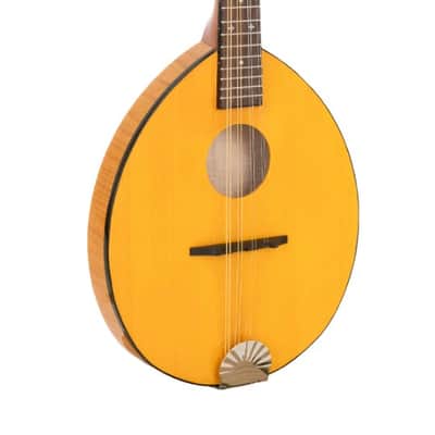 Mint Gold Tone GM-10 Frypan Acoustic Bluegrass Mandolin with Hard Case image 5