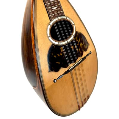 Gennaro & Achille Vinaccia Neapolitan Mandolin 1898 image 4
