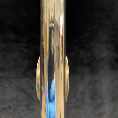 Trevor James "Cantabile" Intermediate Open Hole Flute w/ Offset G, Split E, and B Foot image 13