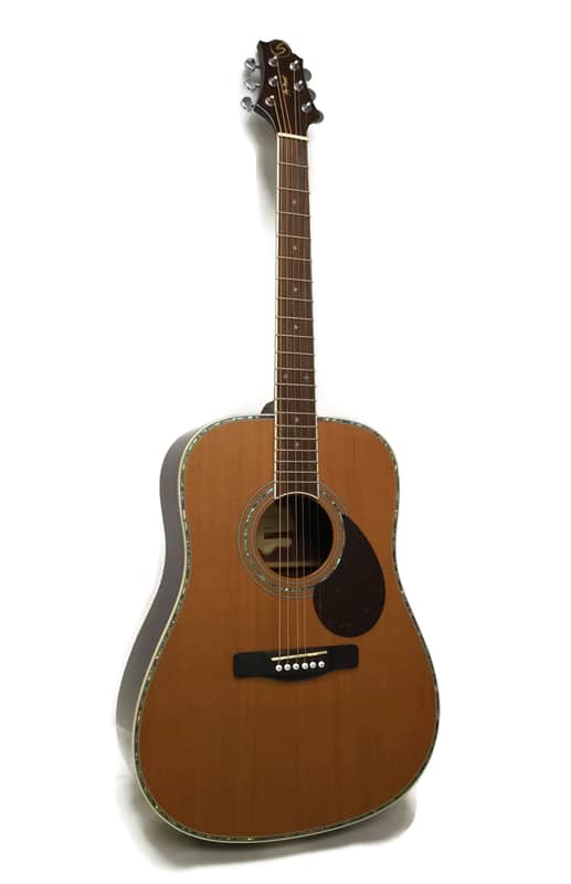 Samick Greg Bennett Design D8 Continental Series Dreadnought