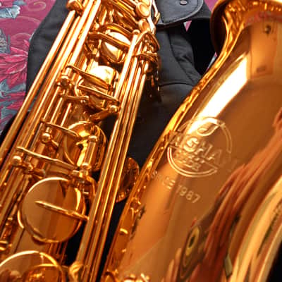 TaiShan Winds Model 7000 Professional Tenor Saxophone Gold-Lacquered Brass image 17