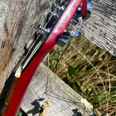 Hamer  Vector  1981 Heritage Cherry image 9